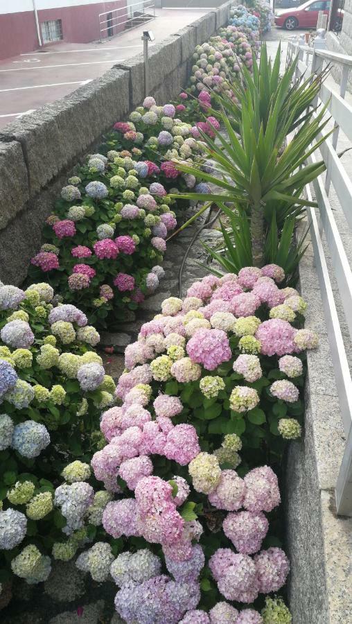 Apartamentos Colmado 桑亨霍 外观 照片